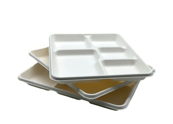 School Bagasse Biodegradable Food Trays 260x210x24mm