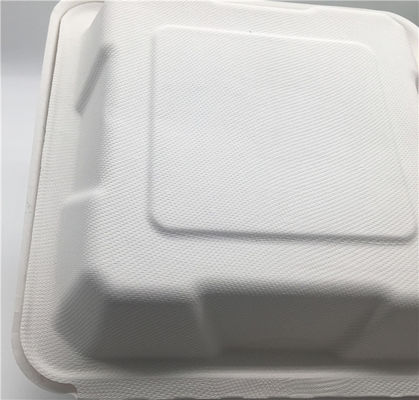 Microwavable 23×22×5cm 45g Biodegradable Takeout Containers