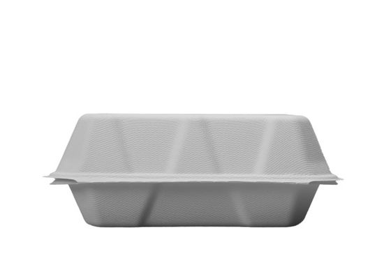 8×8 Inches Meal Clamshell Biodegradable Takeout Containers