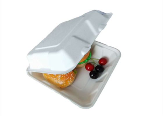 Sugarcane Pulp Biodegradable Take Out Food Containers 9 Inch